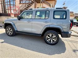 GWM تانك 300